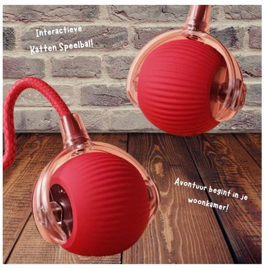 Bonvive | Oplaadbare Interactieve Speelbal voor Kat en Hond – Duurzaam en Levendig Speelplezier!