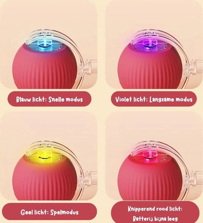 Bonvive | Oplaadbare Interactieve Speelbal voor Kat en Hond – Duurzaam en Levendig Speelplezier!