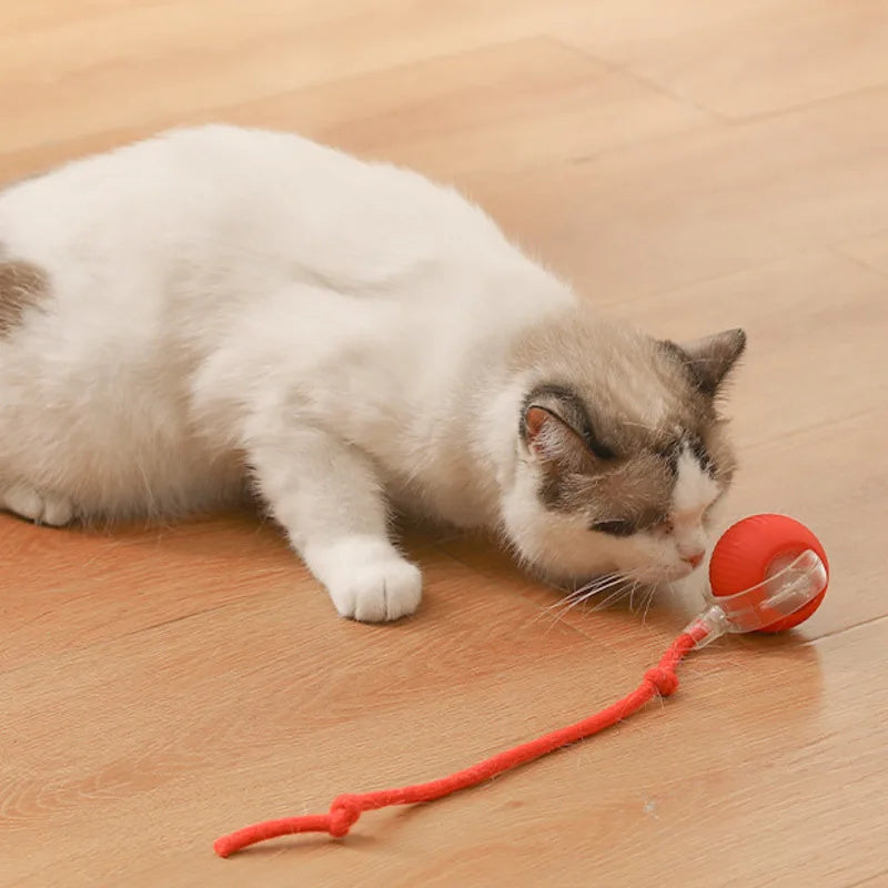 Bonvive | Oplaadbare Interactieve Speelbal voor Kat en Hond – Duurzaam en Levendig Speelplezier!